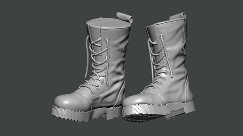 3D Model-SHOES0025