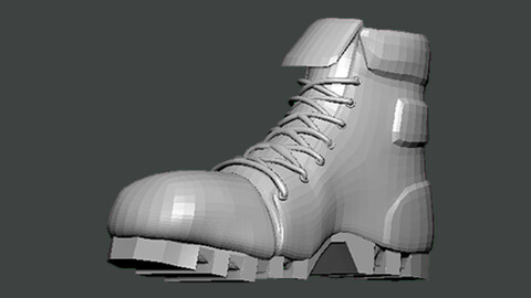 3D Model-SHOES0026