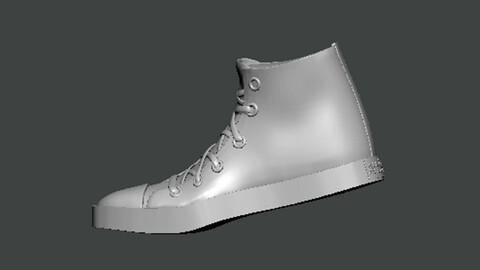 3D Model-SHOES0033