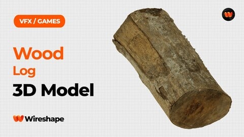 Wood Log Raw Scanned 3D Model