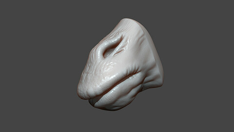 Giraffe Mouth Highpoly Sculpt