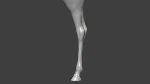Giraffe Rear Leg Highpoly Sculpt