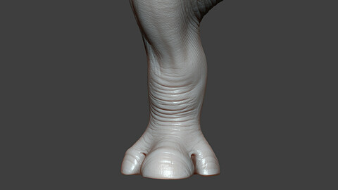 Rhino Baby Front Leg Highpoly Sculpt