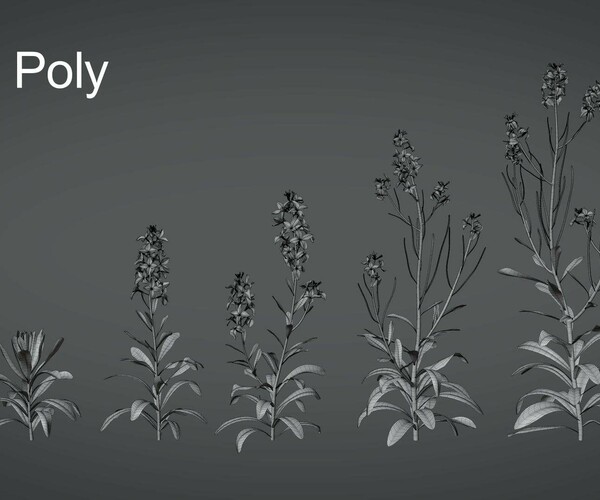 product thumbnail 8