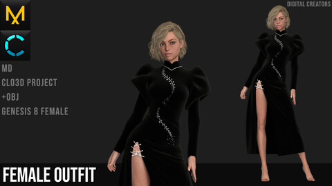 Female Outfit. Dress. Marvelous Designer / Clo 3D project +obj