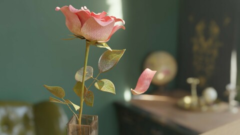 Rose flower animated