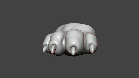Dog Puppy Paw Highpoly Sculpt