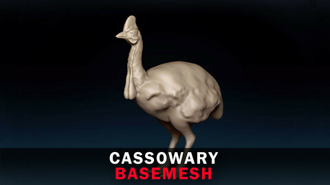Cassowary Base Mesh 3D Model
