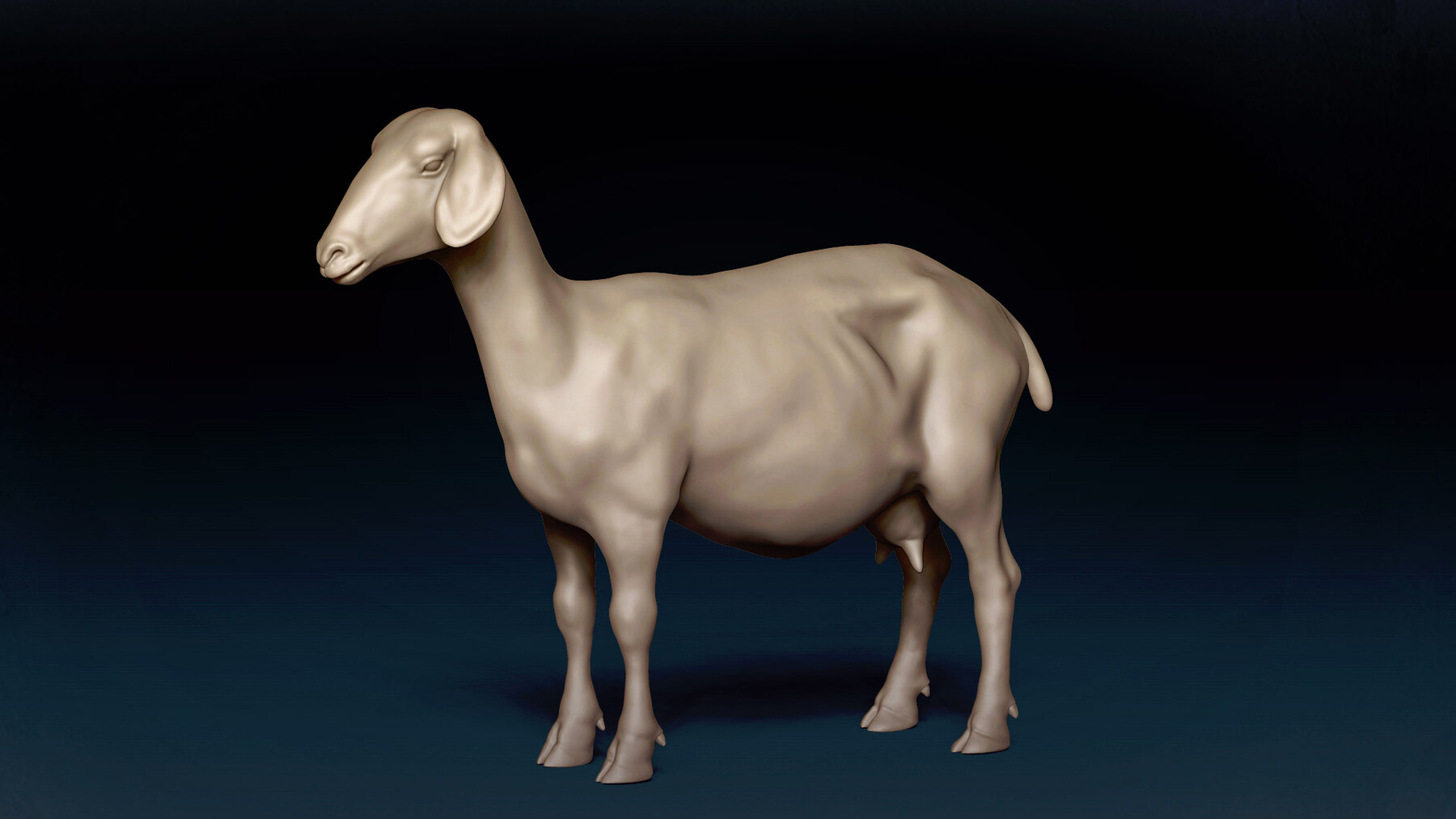 ArtStation - Goat Base Mesh 3D Model | Resources