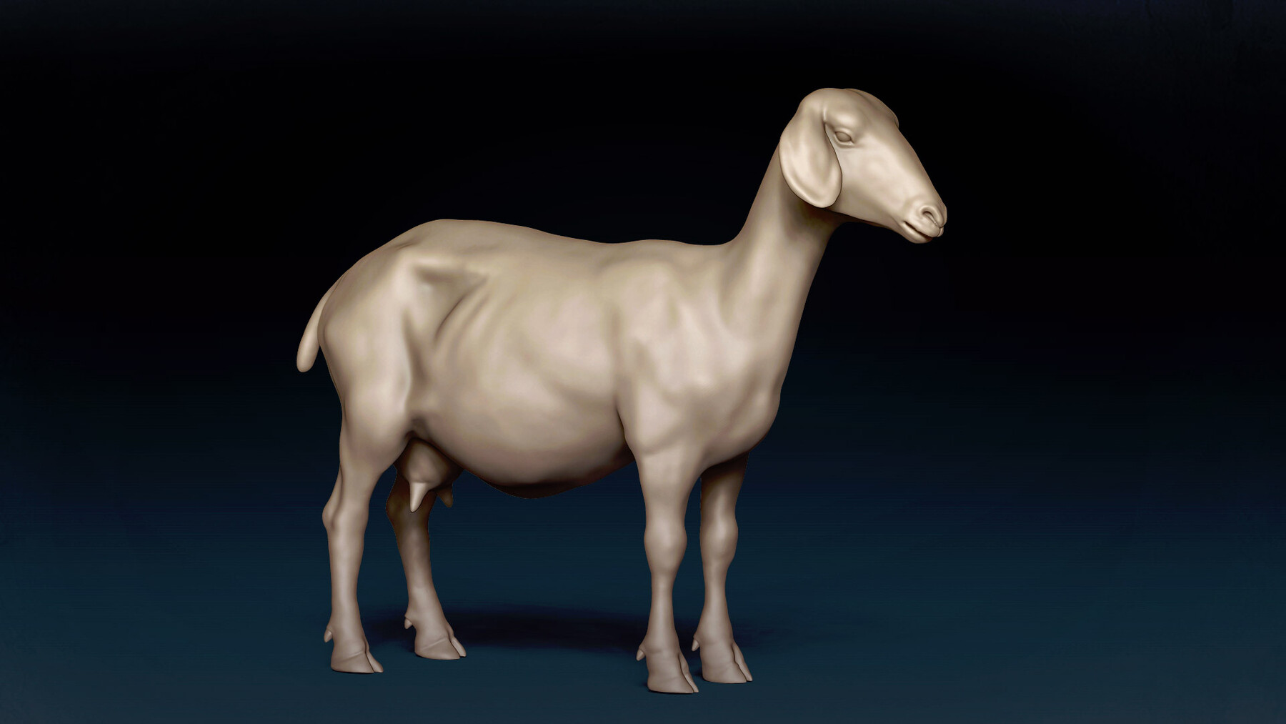 Peternak 3D - Goat Base Mesh 3D Model