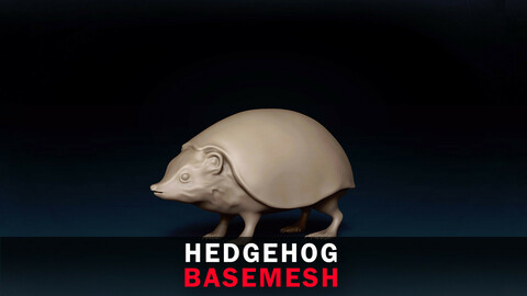 Hedgehog Base Mesh 3D Model