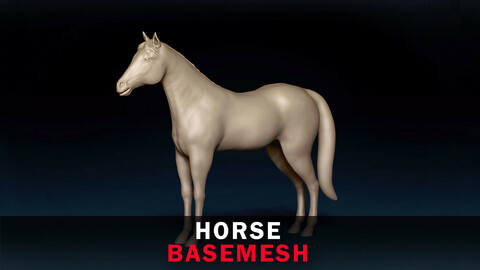 Horse Base Mesh 3D Model
