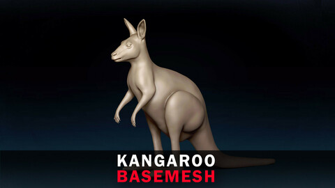 Kangaroo Base Mesh 3D Model