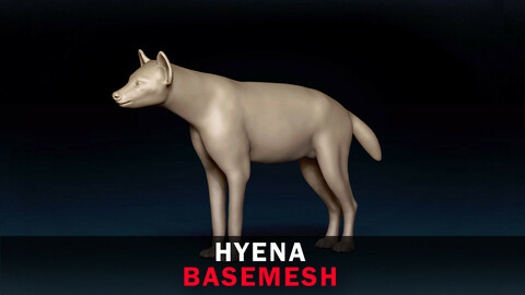Hyena Base Mesh 3D Model