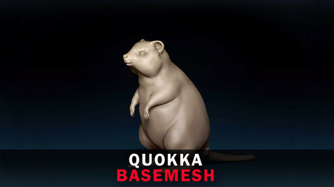 Quokka Base Mesh 3D Model