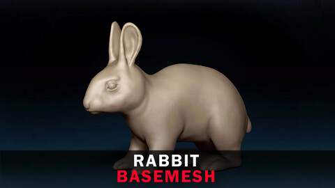 Rabbit Base Mesh 3D Model