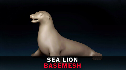 Sea Lion Base Mesh 3D Model