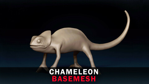 Chameleon Base Mesh 3D Model
