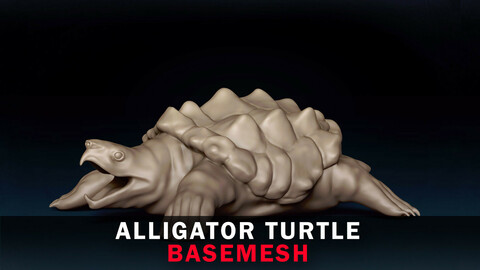 Alligator Turtle Base Mesh 3D Model