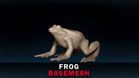 Frog Base Mesh 3D Model