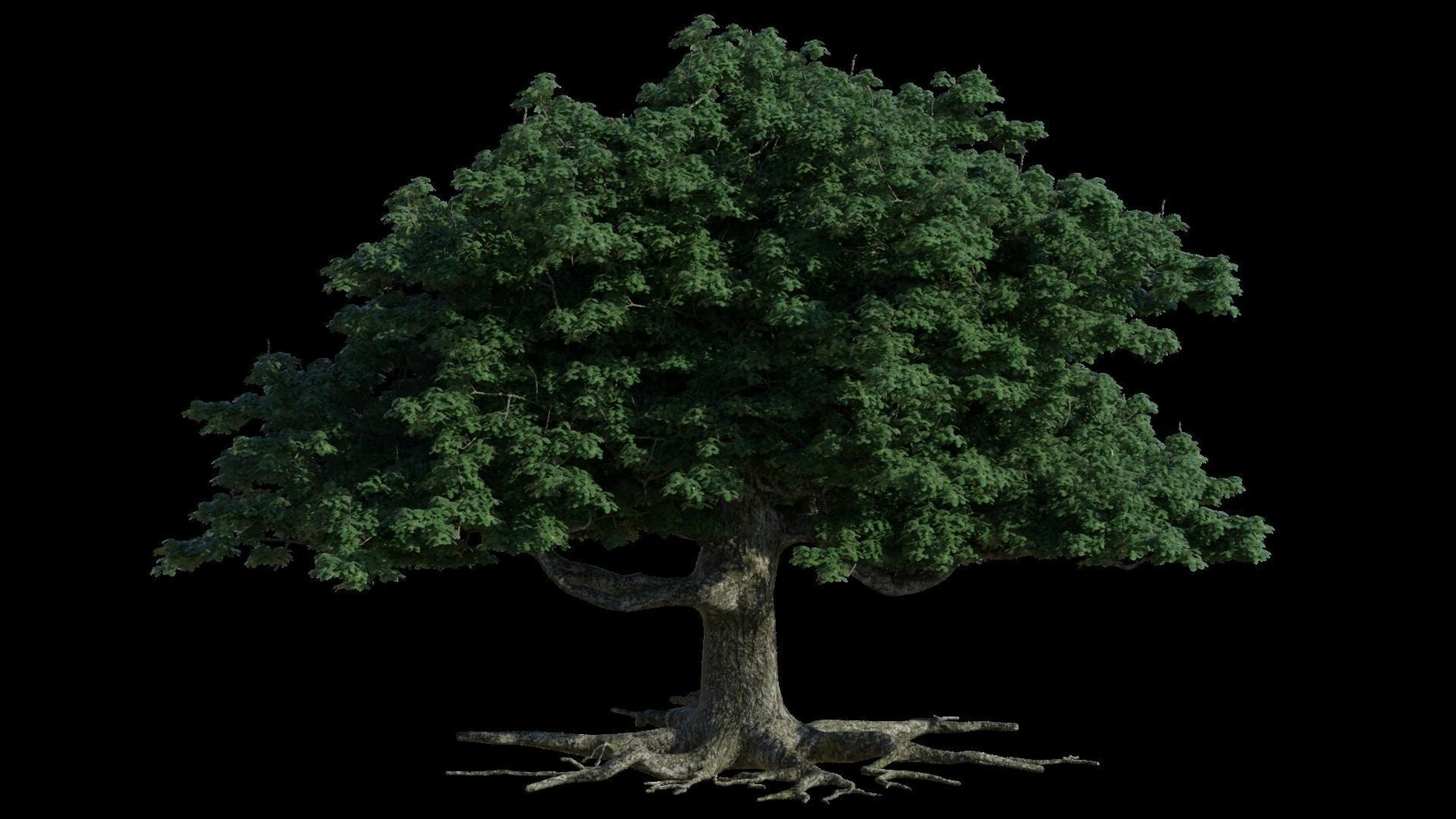 ArtStation - Oak Tree | Resources