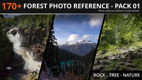 170+ Temperate Forest Reference Pack 01