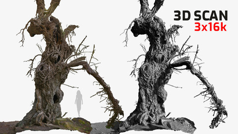 Spooky Monster Tree - 3D model with Faces and Animal Siluets - RAW 3D Scan - 3x16k \ 1x16k Textures