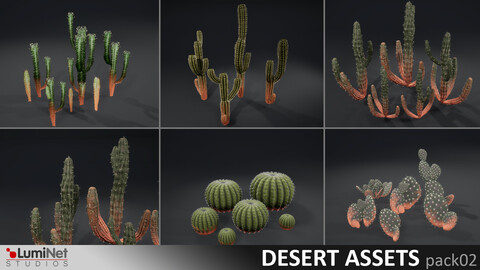LumiNet | Desert Assets pack02