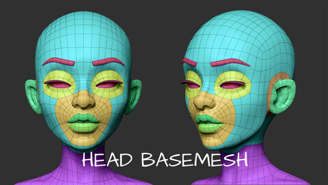 Head basemesh