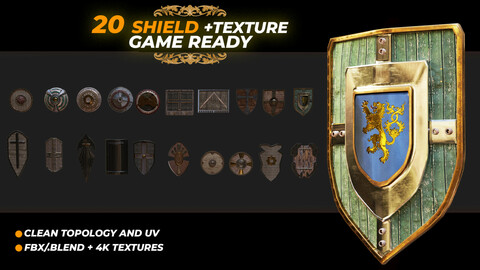 20 SHIELD WITH TEXTURE