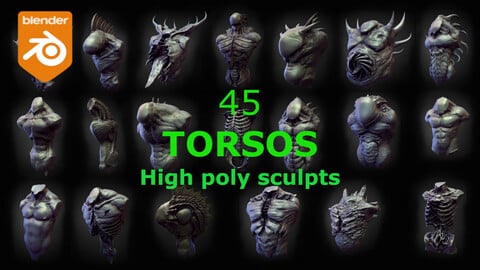 45 TORSOS high poly sculpts pack