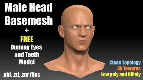 Male Head Basemesh
