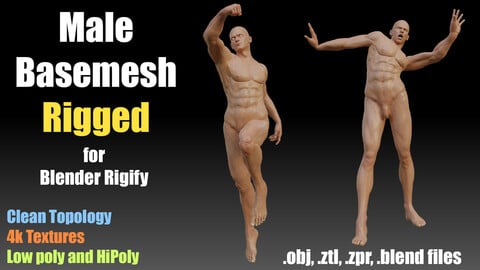 Male Basemesh + Rigged for Rigify