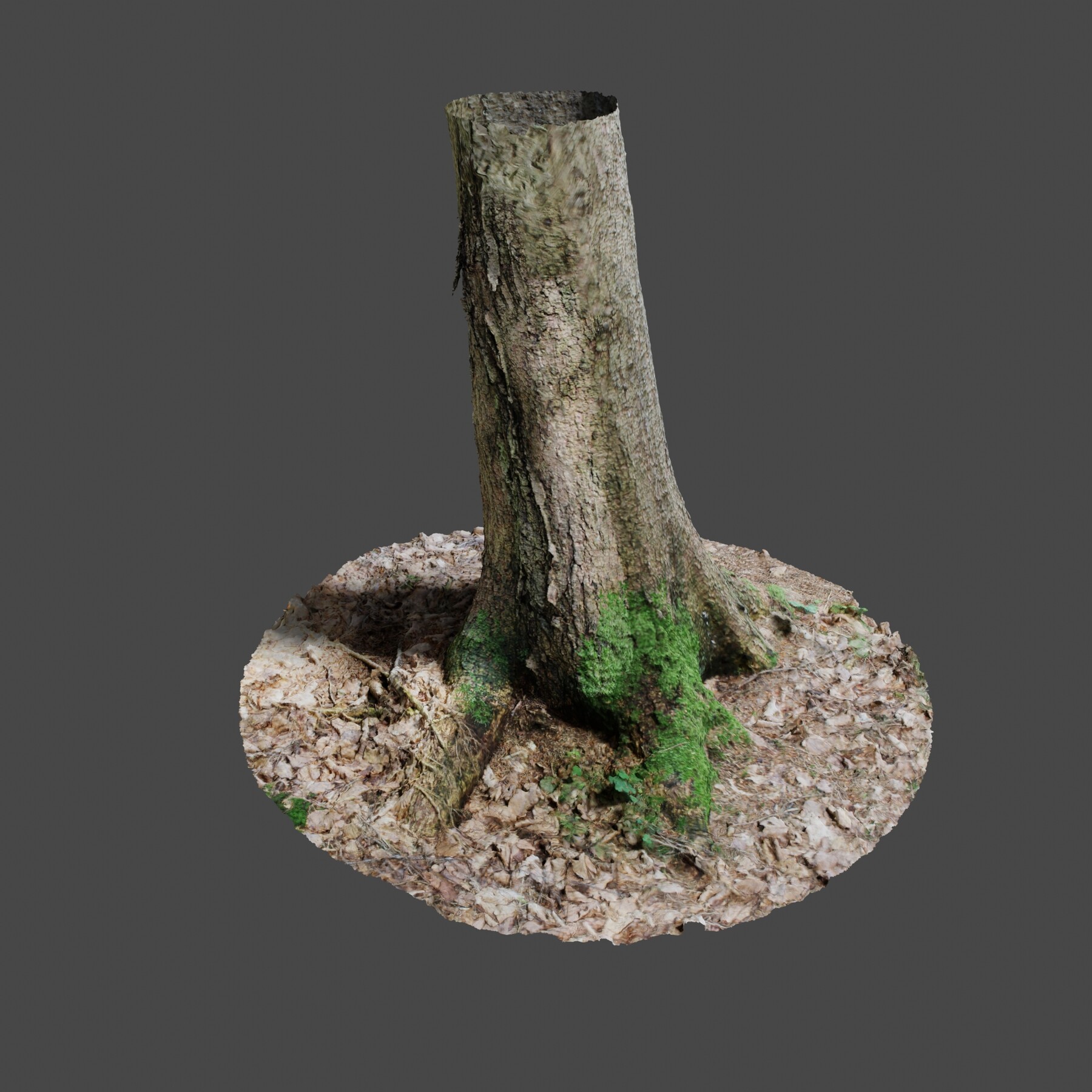 ArtStation - Tree 4 - Photoscan | Game Assets