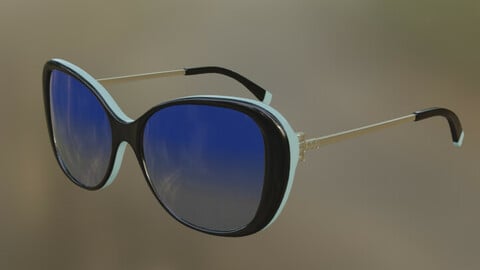 Polarized Sunglasses