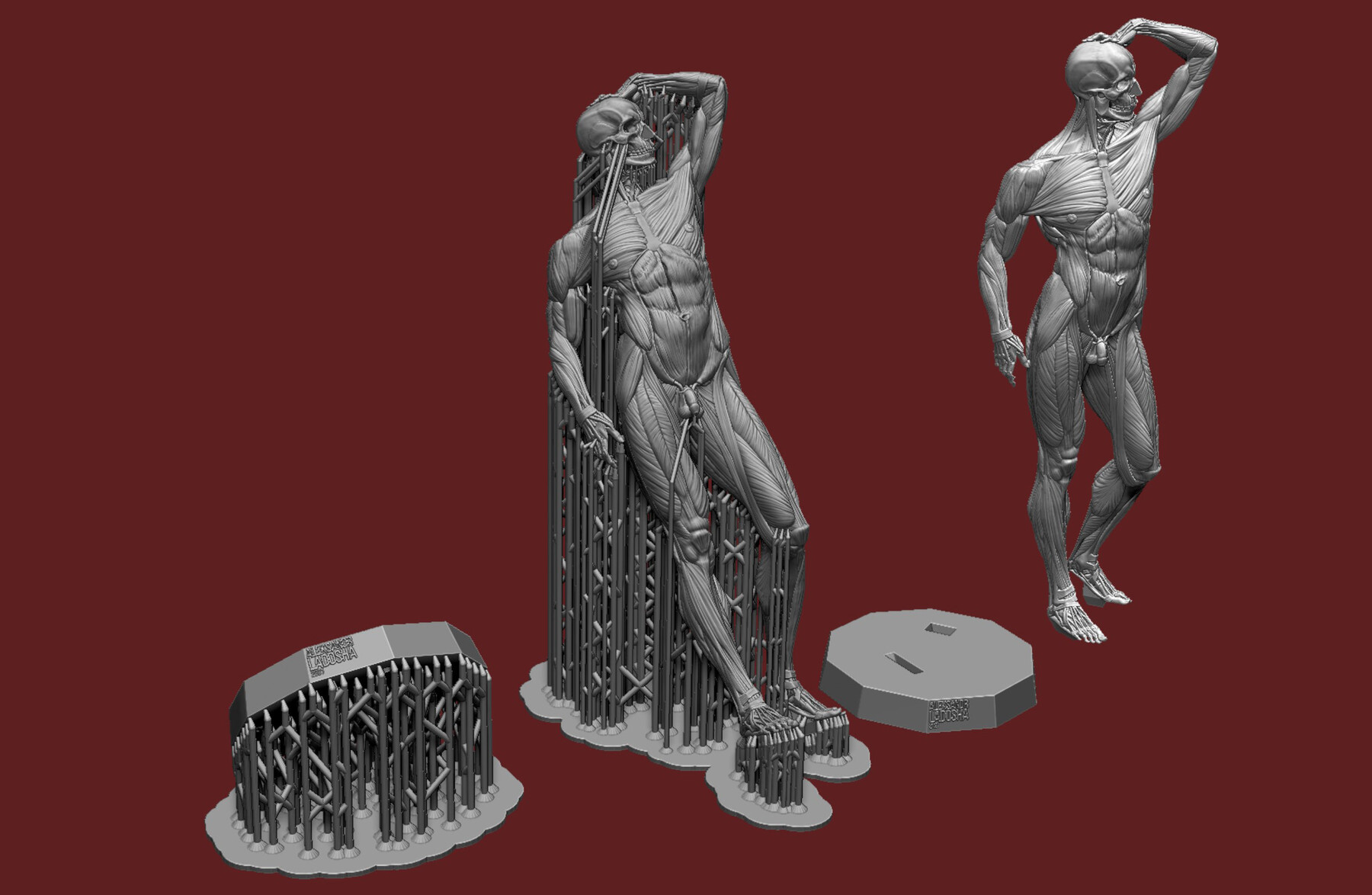 ArtStation - Ecorche for 3d printing. STL