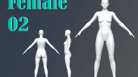 Female 02 Base Mesh