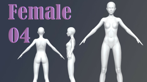 Female 04 Base Mesh