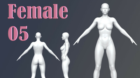 Female 05 Base Mesh