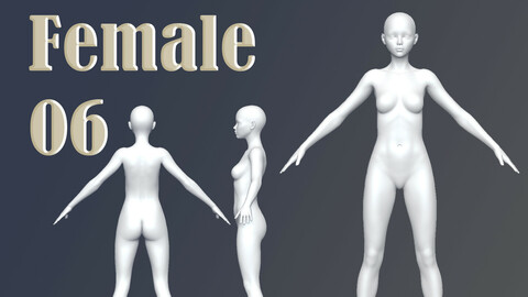 Female 06 Base Mesh