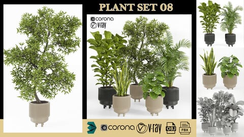 PLANT SET 08