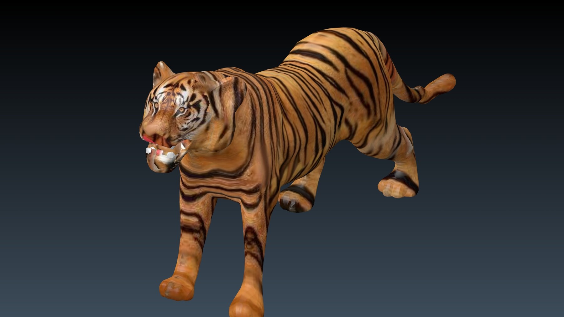 Bengal Tiger 3D Model Rigged and Low Poly Game ready - Team 3d Yard