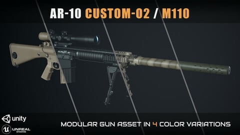 AR-10 Custom-02 M110 edition