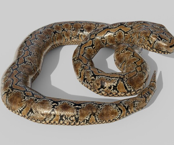 ArtStation - Python Snake - Low Poly - Game Ready - PBR | Game Assets