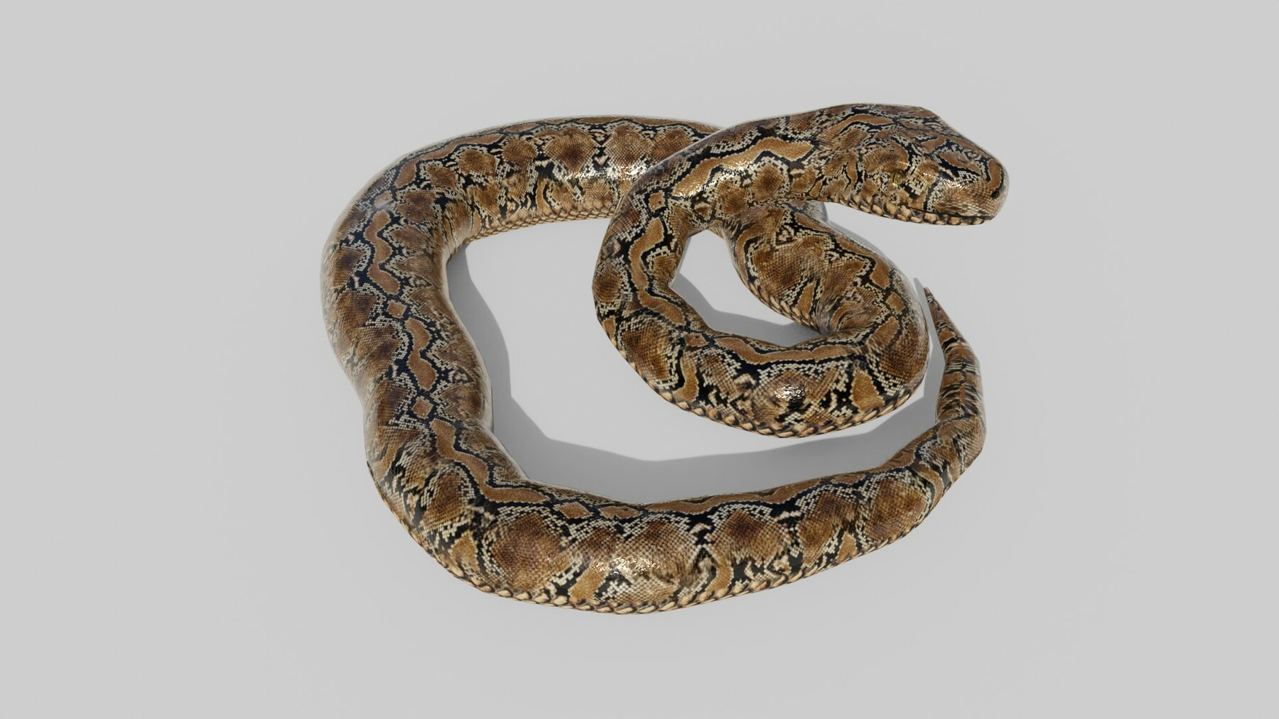 ArtStation - Python Snake - Low Poly - Game Ready - PBR | Game Assets
