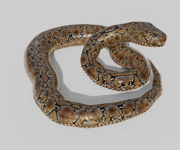 ArtStation - Python Snake - Low Poly - Game Ready - PBR | Game Assets