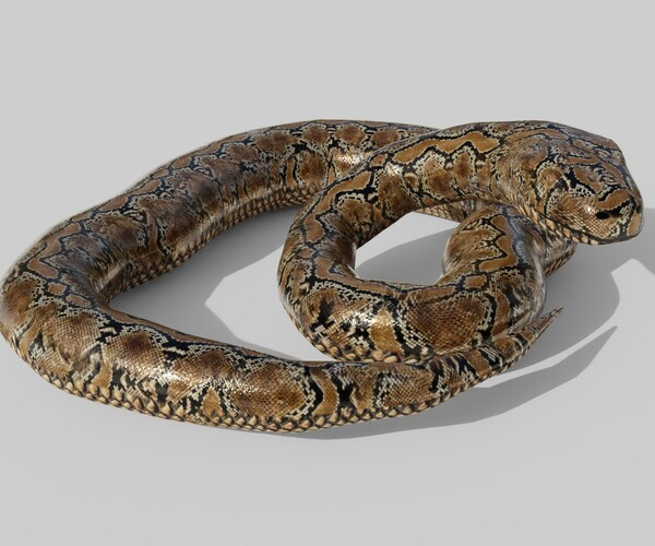 ArtStation - Python Snake - Low Poly - Game Ready - PBR | Game Assets
