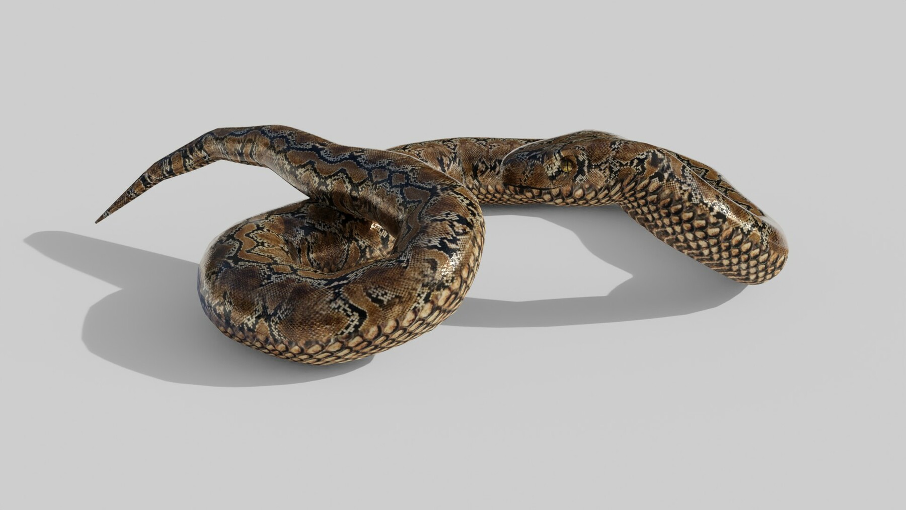 ArtStation - Python Snake - Low Poly - Game Ready - PBR | Game Assets