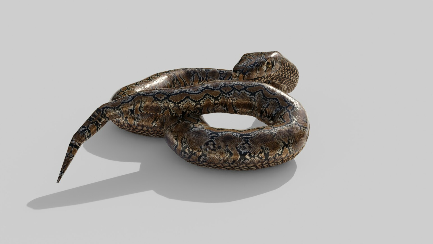 ArtStation - Python Snake - Low Poly - Game Ready - PBR | Game Assets