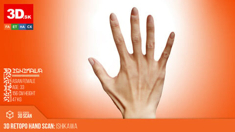 Retopologized 3D Hand Scan | Ishikawa